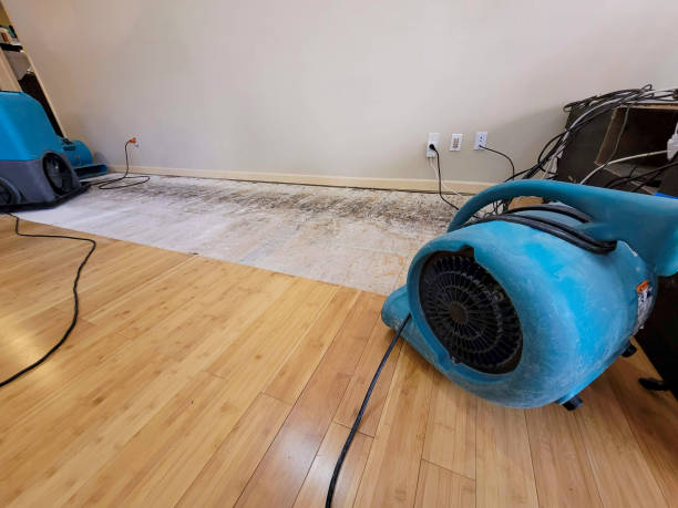 Professional Emergency Water Damage technician working in Ward, SC